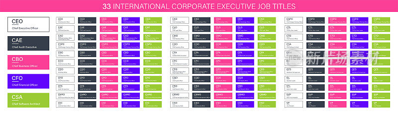 33个国际企业高管职位头衔，CEO CAE CBO CFO CSA CAO CCO CDO CFS CIO HR矢量横幅，用于网页设计，企业组织结构要素。